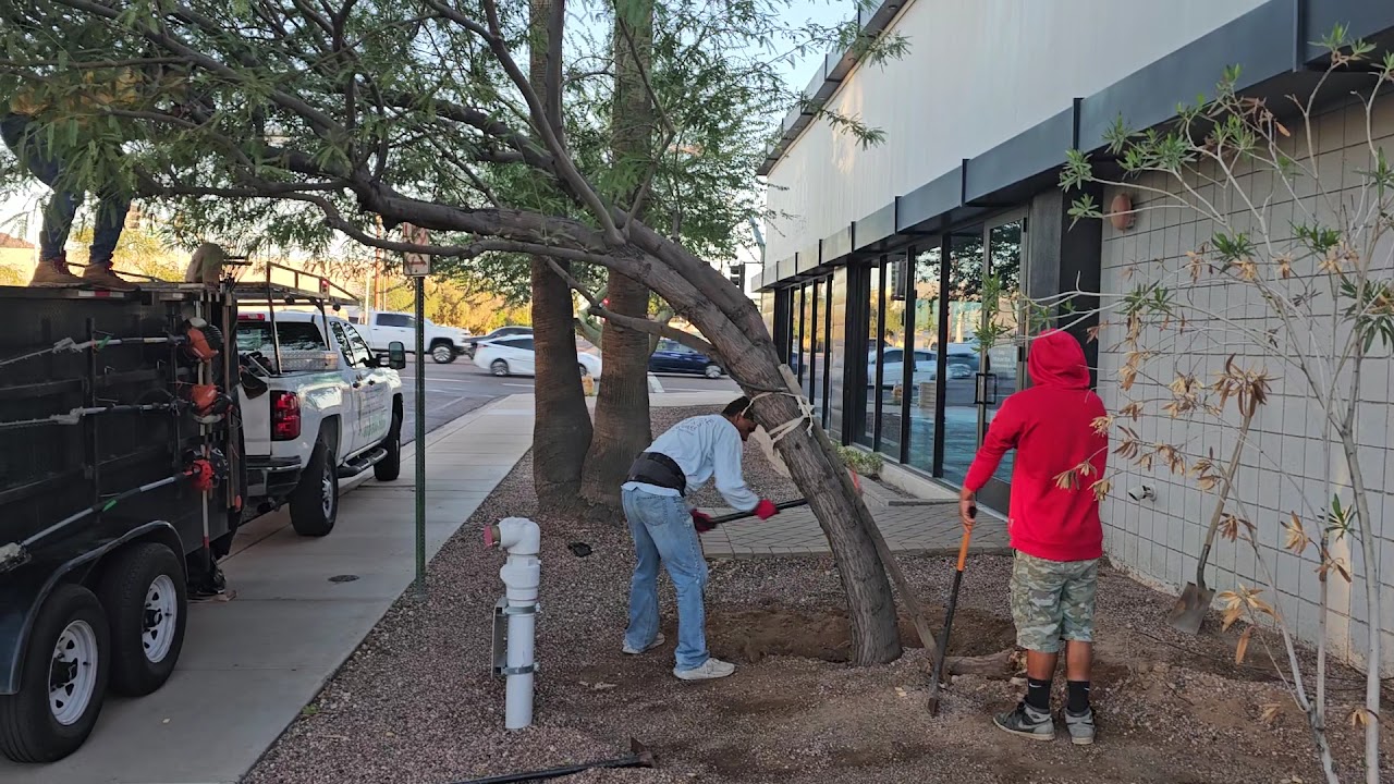 Landscaping Express LLC project