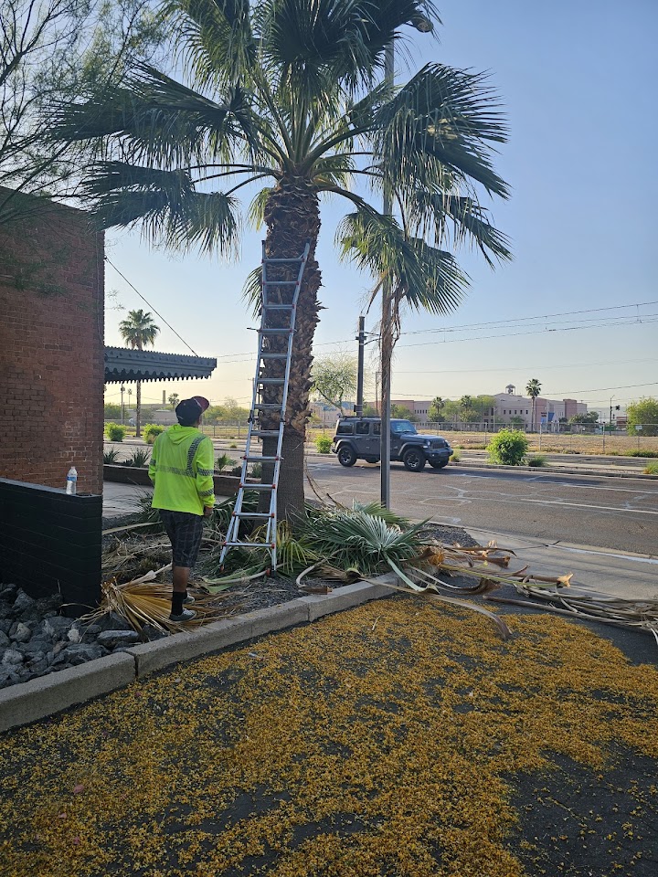 Landscaping Express LLC project