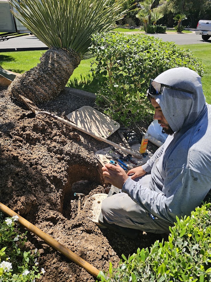 Landscaping Express LLC project